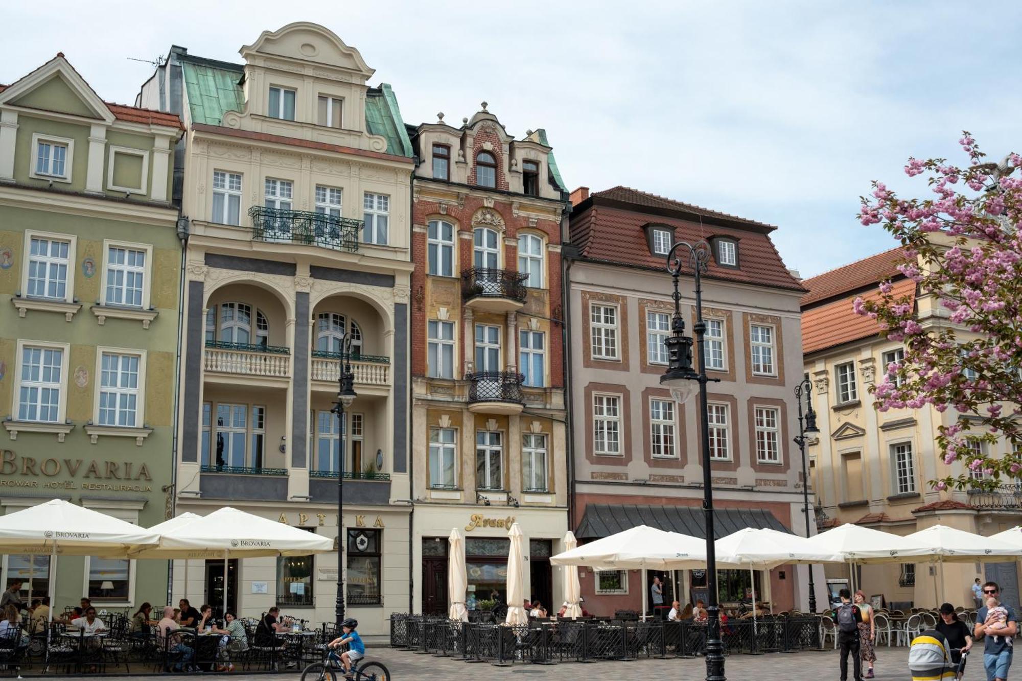 Apartamenty Drevny Kocur Poznań Kültér fotó