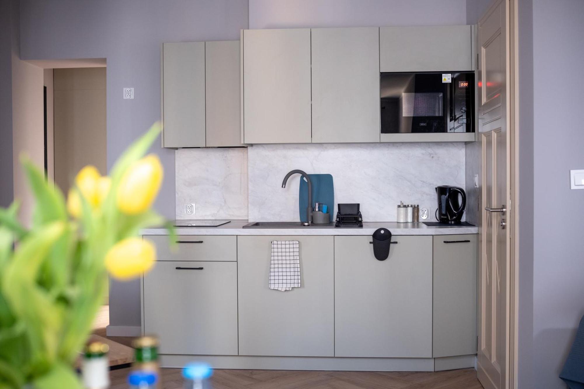 Apartamenty Drevny Kocur Poznań Kültér fotó
